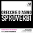 ORECCHIE D'ASINO | LUOGO PAZZESCO