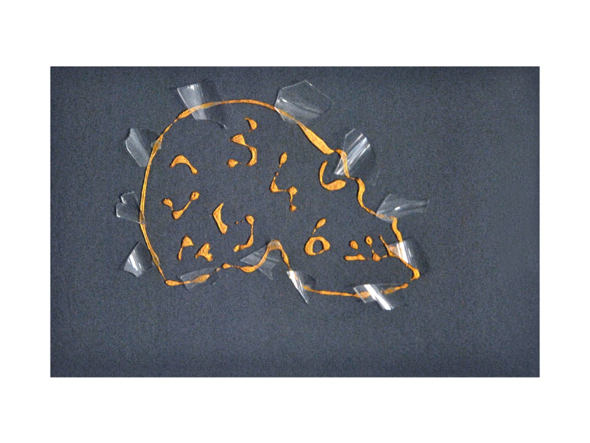Mariella Bettineschi, Cominciare dalla fine, 2009